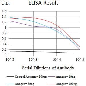 Monoclonal Mouse anti-Human ATXN1 / SCA1 Antibody (clone 2B8A2, WB)