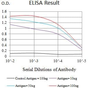 Monoclonal Mouse anti-Human SETD8 / SET8 Antibody (clone 7H1G10, WB)