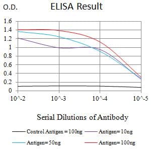 Monoclonal Mouse anti-Human MTA1 Antibody (clone 6B1E9, WB)