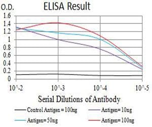 APG5 / ATG5 Antibody (clone 3C10B6)