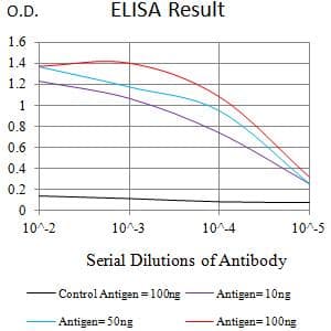 Monoclonal Mouse anti-Human PTPRJ / CD148 Antibody (clone 6F2E12, WB)