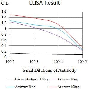 NFKB2 Antibody (clone 2F10A7)
