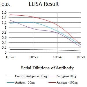 CD80 Antibody (clone 1G3D7)