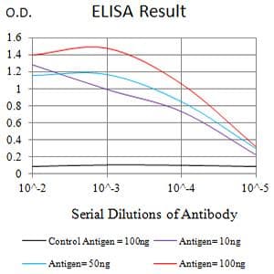 Monoclonal Mouse anti-Human SLAMF6 / NTBA Antibody (clone 8F1C2, WB)