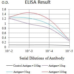 Monoclonal Mouse anti-Human HAVCR2 / TIM-3 Antibody (clone 5A7D12, WB)