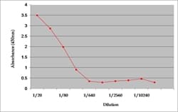 BMP7 Antibody (aa1-14)