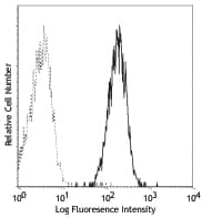 CD80 Antibody (clone 2D10)